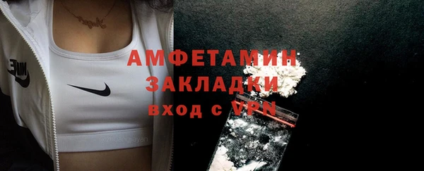 шишки Дмитриев