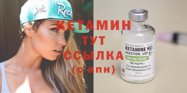 шишки Дмитриев