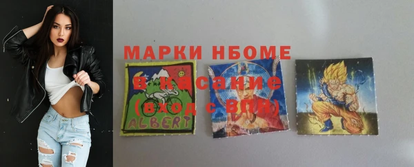 шишки Дмитриев