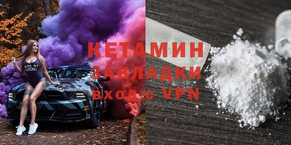 шишки Дмитриев