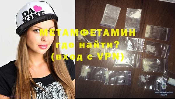 шишки Дмитриев