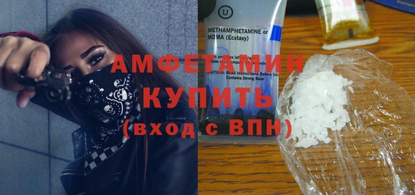 шишки Дмитриев