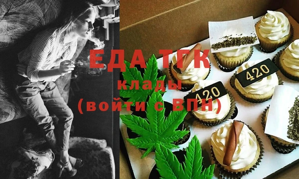 шишки Дмитриев