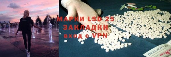 шишки Дмитриев