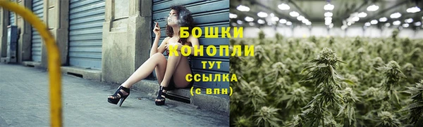 шишки Дмитриев