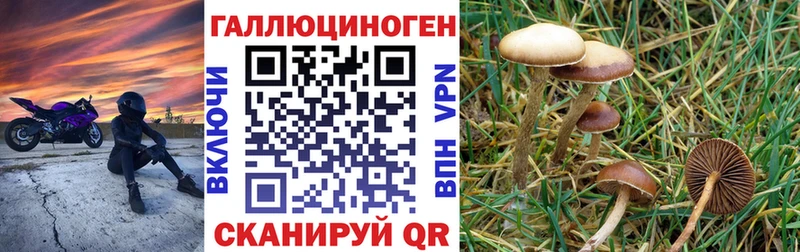 Псилоцибиновые грибы мухоморы  Купить закладки  Брюховецкая 